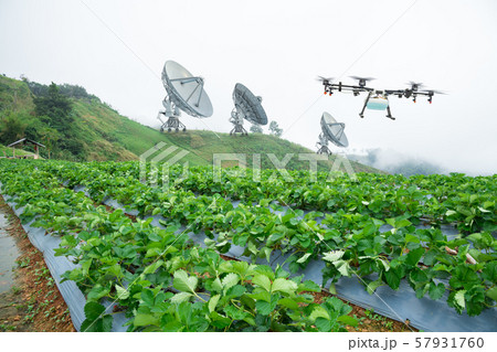 Satellite for agriculture with drone in smart farm Satellite for agriculture with drone in smart farm 57931760