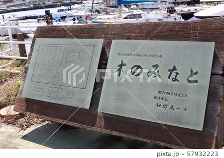 横浜本牧ふ頭の木のみなと 57932223