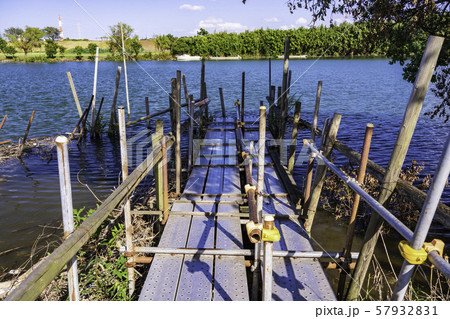 「矢切の渡し」の船着き場　柴又側から対岸を望む 57932831