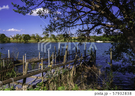 「矢切の渡し」の船着き場　柴又側から対岸を望む 57932838