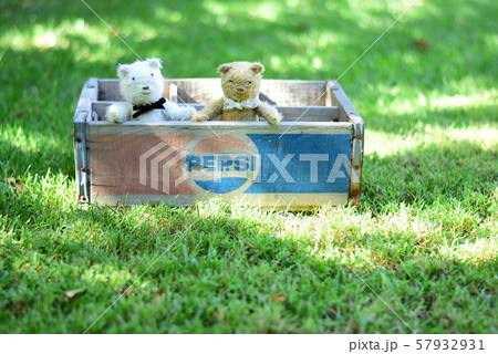 ひなたぼっこ* ひなたぼっこ* 57932931