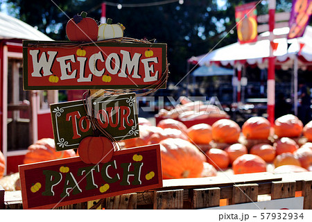 パンプキン会場* パンプキン会場* 57932934