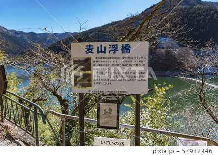 【奥多摩湖】 57932946