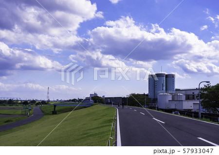 （東京都）江戸川堤防と金町浄水場 57933047