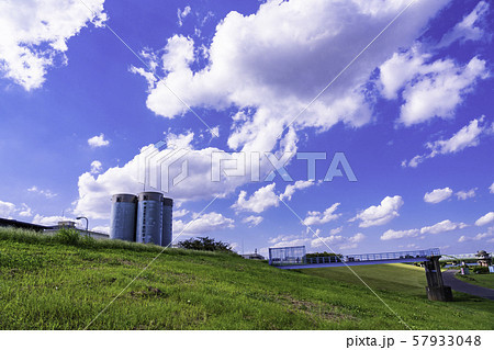 （東京都）江戸川堤防と金町浄水場 57933048
