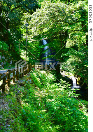 一乗滝 一乗滝 57933053