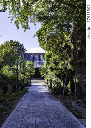 (東京都)葛飾柴又 真勝院 境内 (東京都)葛飾柴又 真勝院 境内 57933305