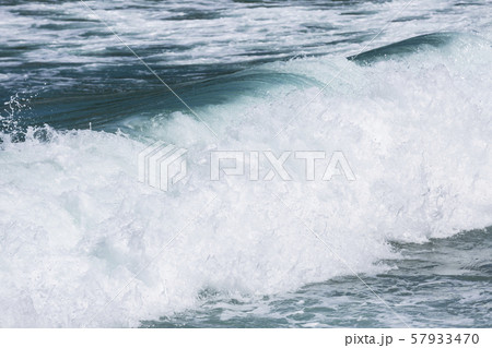 ハマンナ ハマンナ 57933470