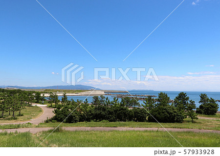 徳島・月見ヶ丘海浜公園 徳島・月見ヶ丘海浜公園 57933928