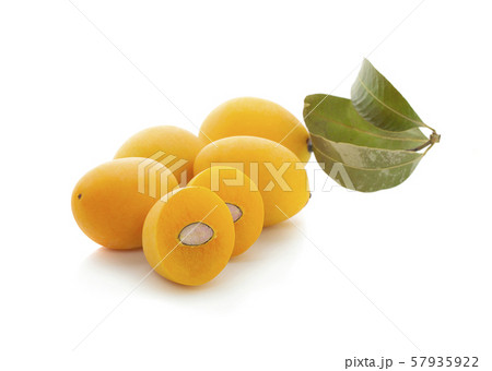 Marian Plum is a bunch on a white background 57935922