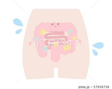 不健康な腸内環境 不健康な腸内環境 57936738