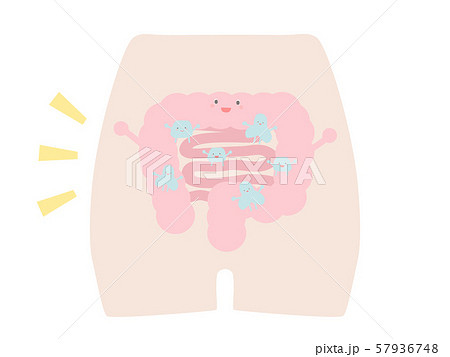 健康な腸内環境 健康な腸内環境 57936748