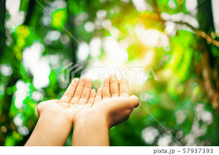 Woman hands place together like praying in front 57937393