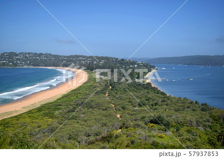 パームビーチと半島 パームビーチと半島 57937853