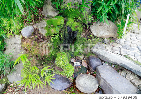 天赦園 天赦園 57939409