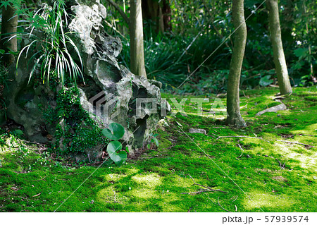 天赦園 天赦園 57939574