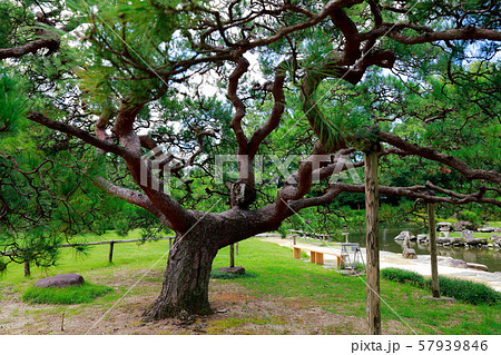 天赦園 天赦園 57939846