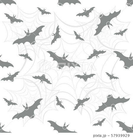 Halloween vector seamless pattern with web and bat Halloween vector seamless pattern with web and bat 57939929