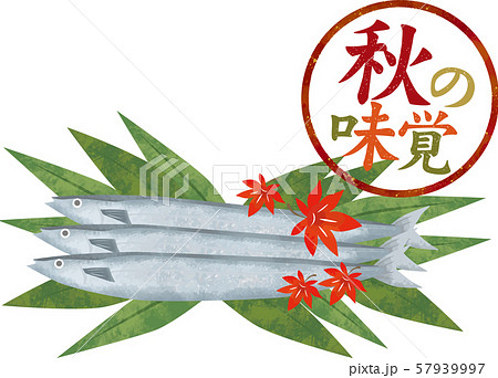 秋刀魚 さんま 秋 秋の味覚 食べ物 水彩 魚 生魚 料理 スタンプフレーム 紅葉のイラスト素材