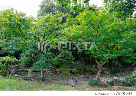 天赦園 天赦園 57940044