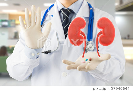 doctor check 3D kidney urology , kidney disease with medicine	 57940644