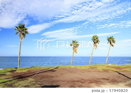 三戸浜（秋） 57940820