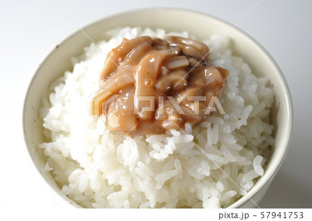 塩辛ご飯 塩辛ご飯 57941753