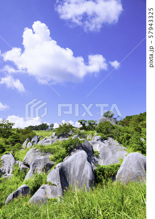 平尾台の美しい景色 57943325