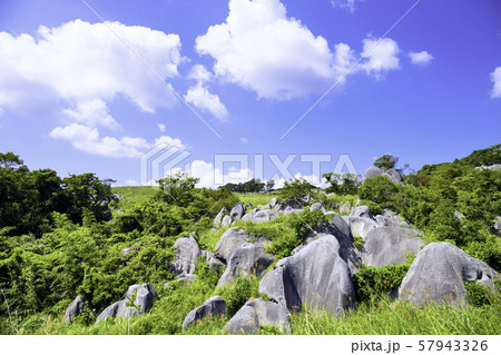 平尾台の美しい景色 57943326