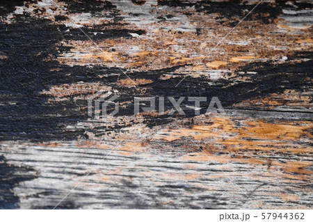 Close up of dark brown wood texture with natural Close up of dark brown wood texture with natural 57944362