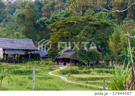 バーン・トン・ルアン　/　タイ　チェンマイ 57944507