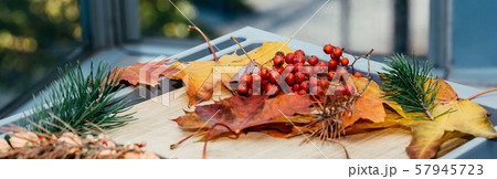 Colorful autumn leaves. Autumn backgorund. Vintage autumn tones with colorful autumn leaves. Colorful autumn leaves. Autumn backgorund. Vintage autumn tones with colorful autumn leaves. 57945723
