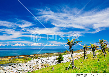 アジア人 アジアン アジア風 57945957