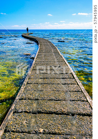 アジア人 アジアン アジア風 57945995