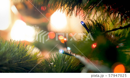 Macro photo of Glowing Christmas tree lights garlnd on fir tree branch 57947025
