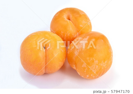 プラム(秋姫) プラム(秋姫) 57947170