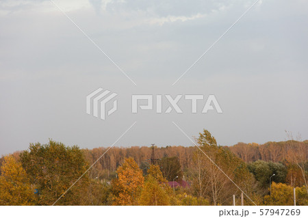 Autumn theme. Autumn trees with yellow leaves. Autumn theme. Autumn trees with yellow leaves. 57947269