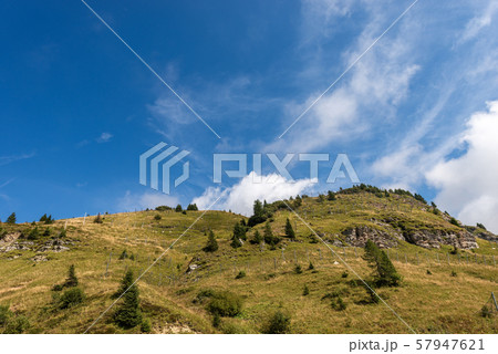 Rockfall barriers in mountain - Passo Rolle Trentino Italy 57947621