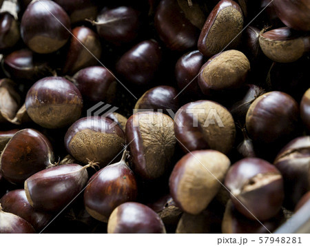 集められた栗の実 余白なし 集められた栗の実 余白なし 57948281