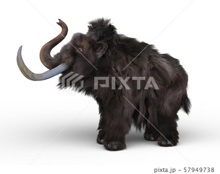 マンモス 57949738