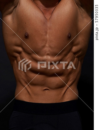 腹直筋 57950335
