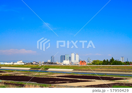 新緑の名古屋市　都市風景　 57950429