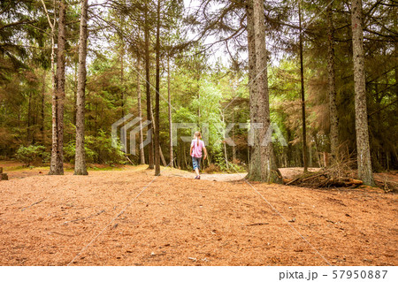 Frightened little girl lost in the dense forest wilderness Frightened little girl lost in the dense forest wilderness 57950887