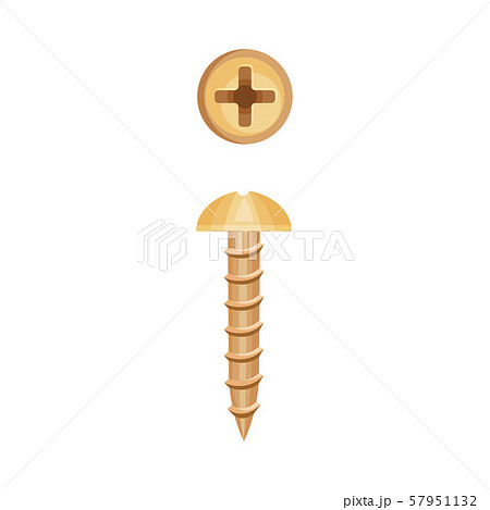 Copper screw with a cross on the hat. Vector illustration on a white background. 57951132