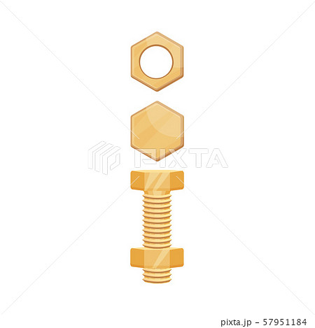Bolt with nut stranded. Side and top view. Vector illustration on a white background. Bolt with nut stranded. Side and top view. Vector illustration on a white background. 57951184
