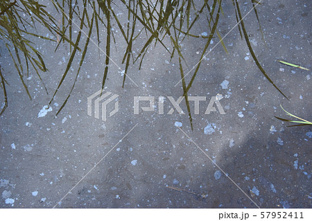 水質汚染 水質汚染 57952411