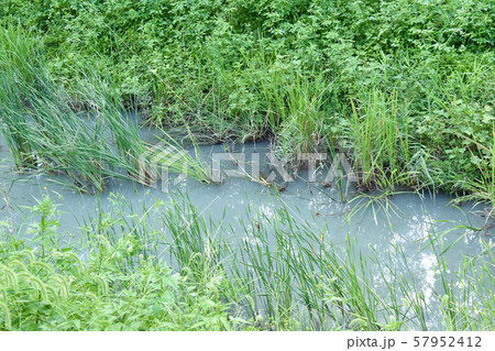 水質汚染 57952412