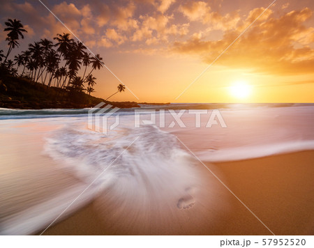 Romantic sunset on a tropical beach with palm trees Romantic sunset on a tropical beach with palm trees 57952520