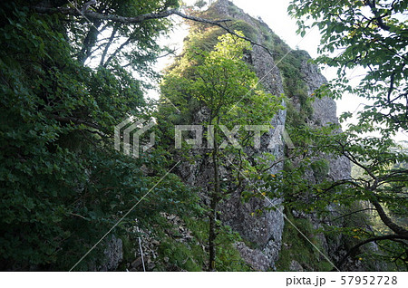 【世界遺産 紀伊山地の霊場と参詣道】大峯奥駈道 木々の間から見た第四十七靡の五鈷嶺 奈良県吉野天川村 【世界遺産 紀伊山地の霊場と参詣道】大峯奥駈道 木々の間から見た第四十七靡の五鈷嶺 奈良県吉野天川村 57952728