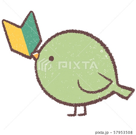 初心者マーク鳥 緑のイラスト素材 57953508 Pixta